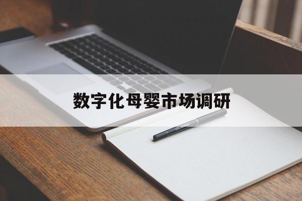 九江市数字化母婴市场调研(数字化母婴市场调研报告)